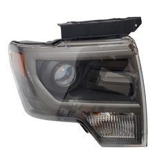 موديل 2009 - 2014 ( رابتر ) (F150) شمعة اف 150 ( زنزن )